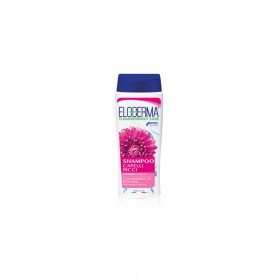 ELODERMA MINISIZE SHAMPOO RICCI 75ML Confezione da 12 PZ