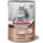 MP GATTO PATE  CONIGLIO ADULT 400GR Confezione da 24 PZ