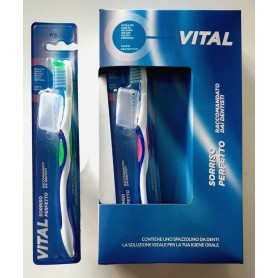 VITAL SPAZZOLINO CON CAPPUCCIO SETOLE DURE 1PZ Confezione da 12 PZ